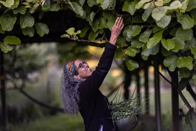 Neilufar Naini, an Iraninan American organic farmer, holds a bowl of scapes harvested from a patch of garlic at her farm in Sequim, Washington on June 16, 2023.
